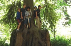 kids on a giant tree in big sur
