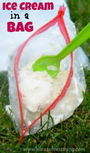 ice cream in a bag pin 0