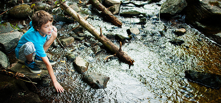 child exploring a creek on a hike