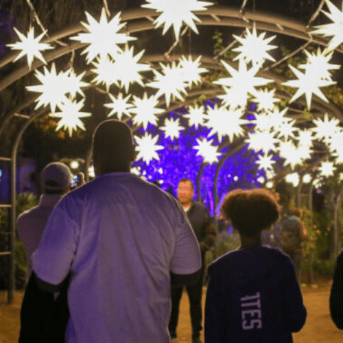 los angeles holiday events - forest of light