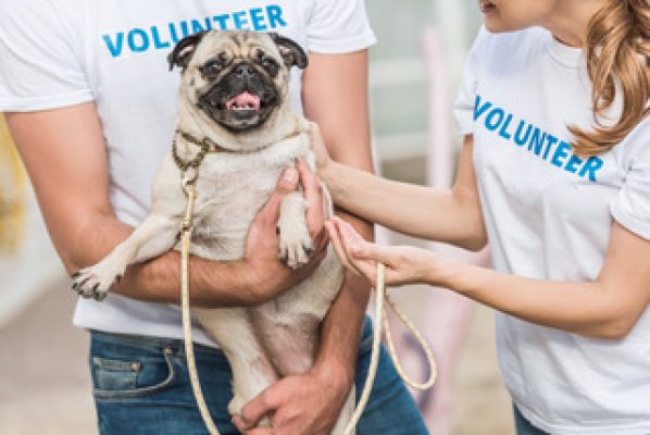 kids and teens volunteering